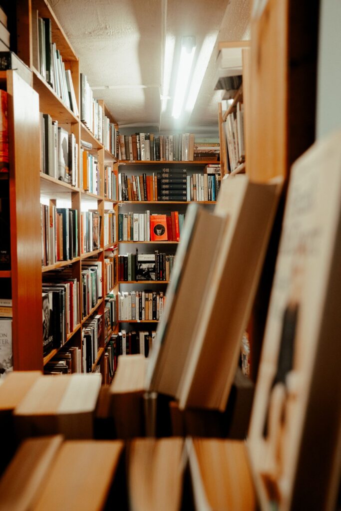 Cozy library bookshelf aisle interior product photo